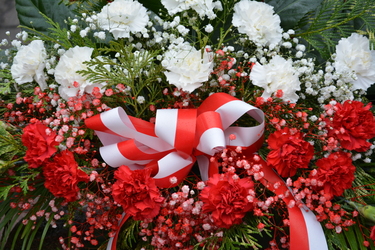 Kwiaty biało-czerwone